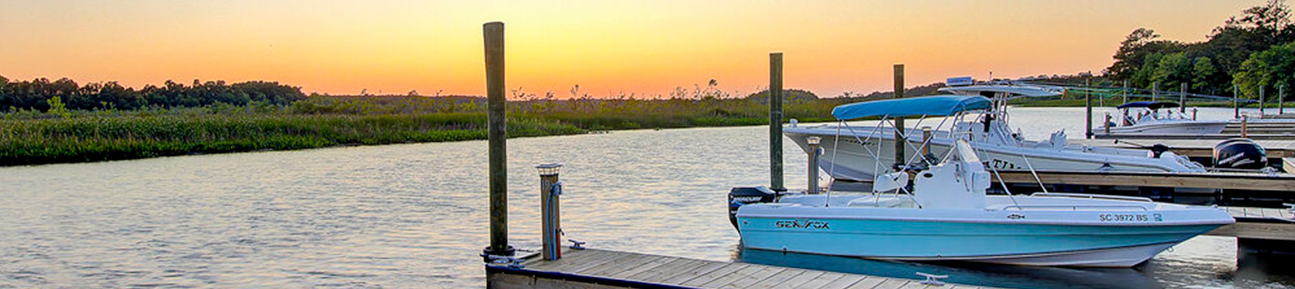 Bowen - The Wrenn Group, Natural Communities In The Lowcountry